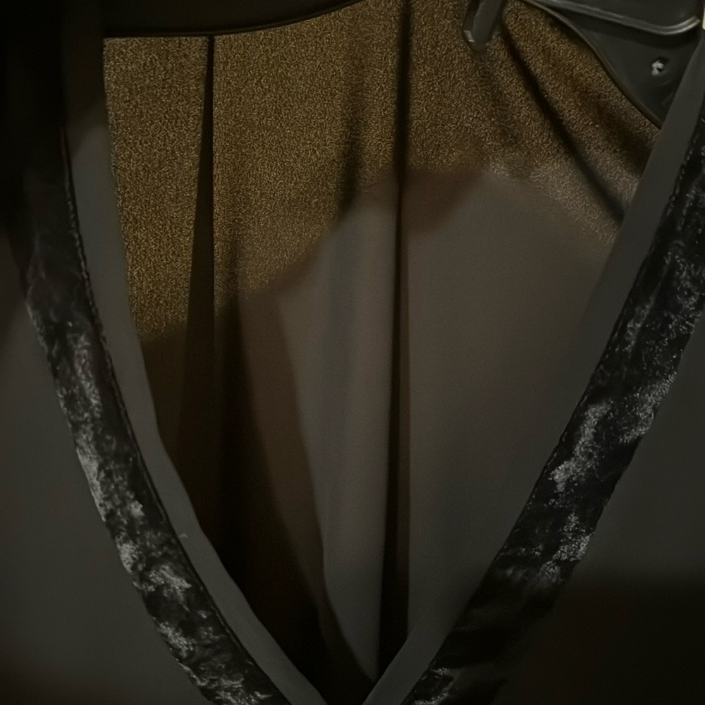 Velour Trim Sheer Long Sleeve Blouse - Picture 5 of 11